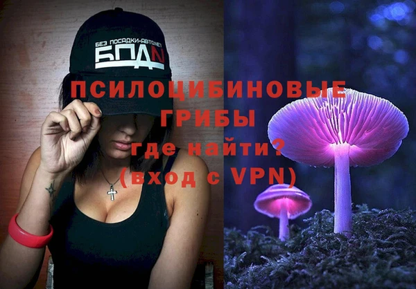 крисы Гусев