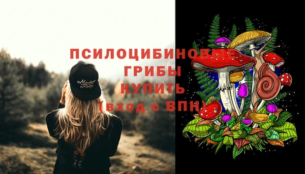 крисы Гусев