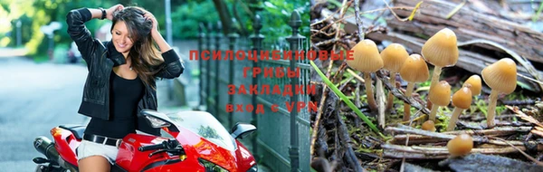 крисы Гусев