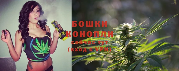 амф Дмитриев