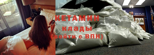 крисы Гусев